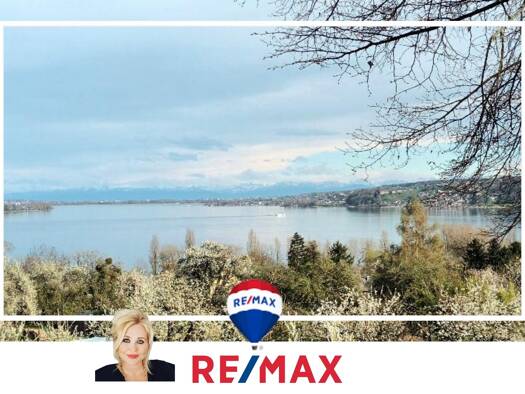 Haus zum Kauf 25 Zimmer 952 m² 1.870 m² Grundstück Wangen 78337