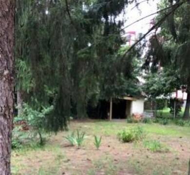 Grundstück zum Kauf 320.000 € 990 m² Grundstück Werder (Havel) Werder (Havel) 14542