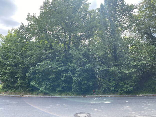 Grundstück zum Kauf provisionsfrei 565.000 € 1.254 m² Grundstück Max-Eyth-Allee 8 Bornim Potsdam 14469