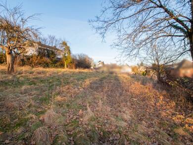 Grundstück zum Kauf 124.000 € 577 m² Grundstück Hetzerath 54523
