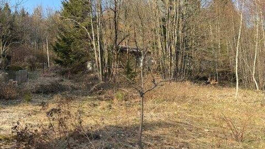 Grundstück zum Kauf 149.000 € 1.068 m² Grundstück Greising Deggendorf 94469