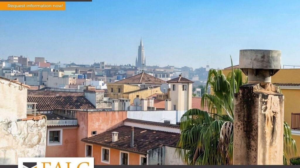 Wohnung zum Kauf provisionsfrei 295.000 € 2 Zimmer 48 m² Palma 07003