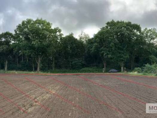 Grundstück zum Kauf 259.900 € 4.000 m² Grundstück Esterwegen 26897