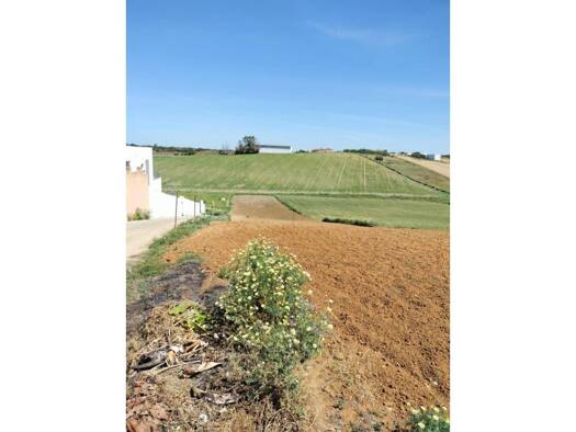 Acker-/Waldstück zum Kauf 105.000 € Conil de la Frontera 11140