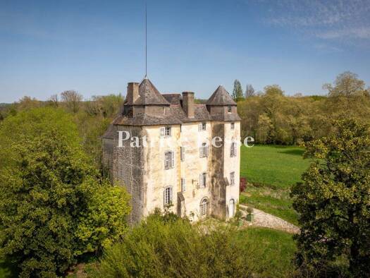 Schloss zum Kauf 990.000 € 11 Zimmer 1.000 m² 45.000 m² Grundstück Centre-Marcadieu-Marne Tarbes 65000
