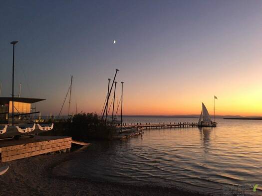 Mehrfamilienhaus zum Kauf 1.950.000 € 20 Zimmer 427,9 m² 1.014 m² Grundstück Neusiedl am See 7100