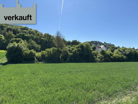 Land-/Forstwirtschaft zum Kauf 35.000 € 7.224 m² Grundstück Velburg 92355