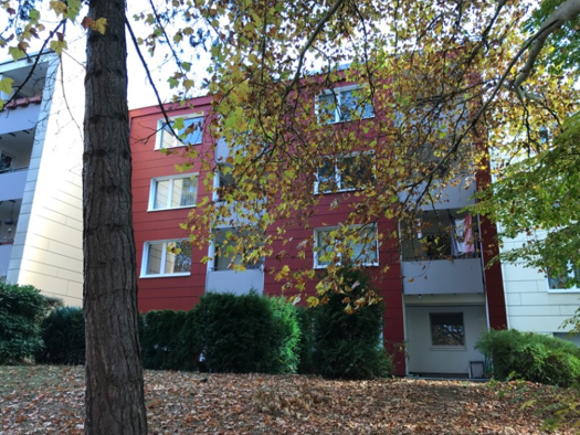 Wohnung zur Miete 792 € 4 Zimmer 87,2 m² 1. Geschoss frei ab 15.04.2026 Gerhart-Hauptmann-Ring 230 Niederursel Frankfurt am Main 60439