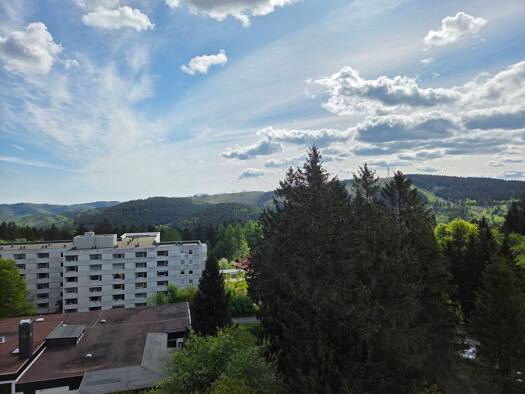 Studio zum Kauf 58.000 € 3 Zimmer 48 m² 7. Geschoss frei ab sofort Hahnenklee Goslar 38644