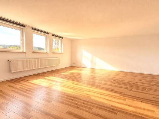 Wohnung zur Miete 690 € 2 Zimmer 75,4 m² 1. Geschoss Weismark-Feyen Trier 54294