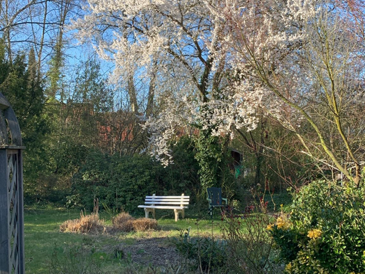 Doppelhaushälfte zum Kauf 435.000 € 6 Zimmer 195 m² 1.014 m² Grundstück frei ab sofort Tom-Dyk-Straße Grolland Bremen 28259