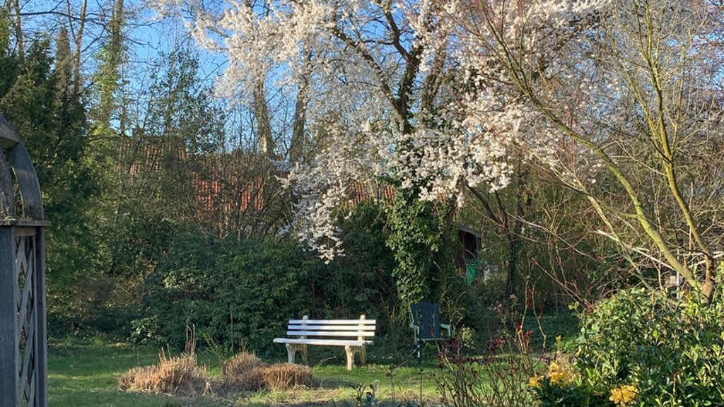 Doppelhaushälfte zum Kauf 435.000 € 6 Zimmer 195 m² 1.014 m² Grundstück frei ab sofort Tom-Dyk-Straße Grolland Bremen 28259