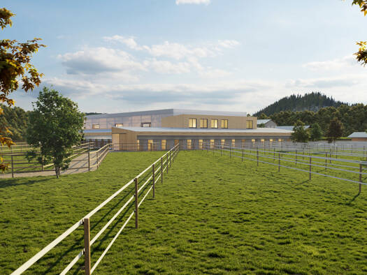 Einfamilienhaus zum Kauf 5 Zimmer 400 m² 67.324 m² Grundstück Rosenbach 9183