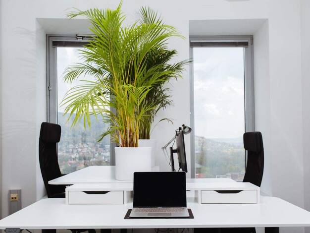 Bürofläche zur Miete provisionsfrei 90 € 4 m² Bürofläche Leutragraben Zentrum Jena 07743