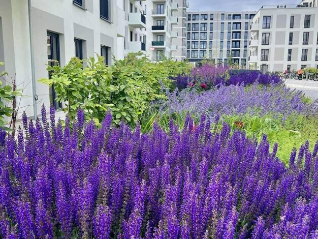 Studio zur Miete 850 € 1 Zimmer 37,2 m² 1. Geschoss Am Maselakepark 15 Spandau Berlin 13587