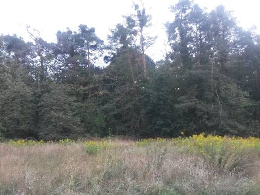 Grundstück zum Kauf provisionsfrei 415.000 € 332 m² Grundstück Eberstadt Darmstadt 64297