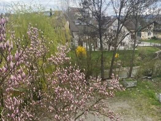 Wohnung zur Miete 950 € 3 Zimmer 85 m² Geschoss -1/2 frei ab 01.06.2026 Wahlwies Stockach 78333