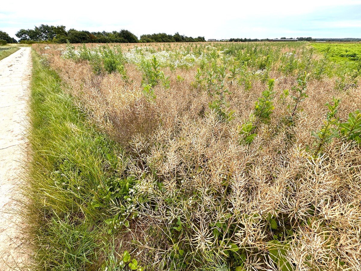 Landwirtschaftliche Fläche zum Kauf 260.000 € 30.360 m²<br/>Fläche 30.360 m²<br/>Grundstück Waldorf Bornheim 53332