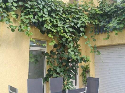 Praxis zum Kauf 740.000 € 285 m² Bürofläche Brachelen Hückelhoven 41836