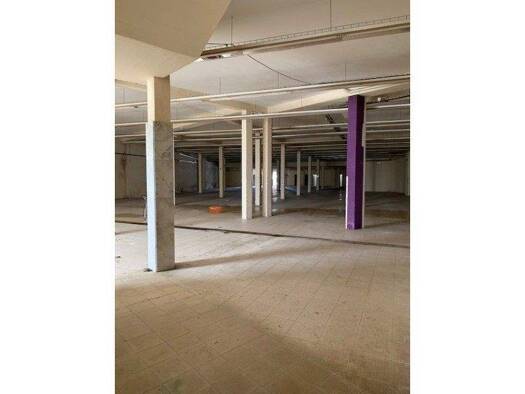 Haus zum Kauf 550.000 € 3 Zimmer 1.820 m² 1.820 m² Grundstück Marinha Grande 2430-228
