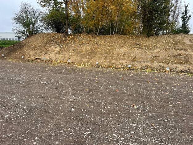 Außenstellplatz zur Miete 33 € Ringweg (Groß Santersleben) Groß Santersleben Hohe Börde 39343