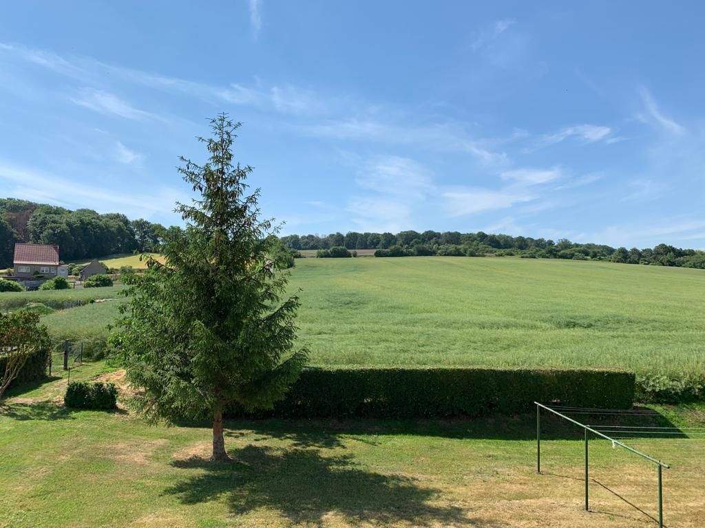 Immobilie in Lanitz-Hassel-Tal - +++ 2 Eigentumswohnungen im Paket +++ - Bild 2