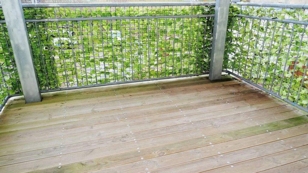 Studio zur Miete 250 € 1 Zimmer 45 m² EG Talstraße Ruppertsgrün Fraureuth 08427