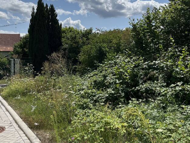 Grundstück zum Kauf 182.000 € 501 m² Grundstück Heimbach-Weis Neuwied 56566