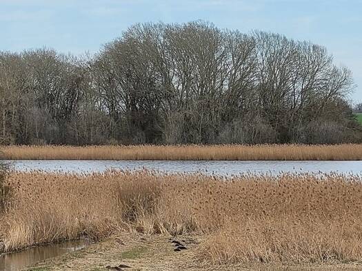 Sonstiges zum Kauf 38.956 € 19.478 m² Meichow Prenzlau     Wollenthin-See 17291