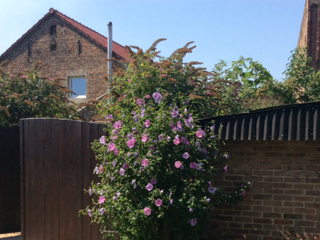 Einfamilienhaus zum Kauf 195.000 € 6 Zimmer 144 m² 730 m² Grundstück Gohlitz Nauen 14641