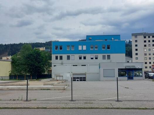 Produktionshalle zur Miete 1.300 m² Lagerfläche Spittal an der Drau 9800
