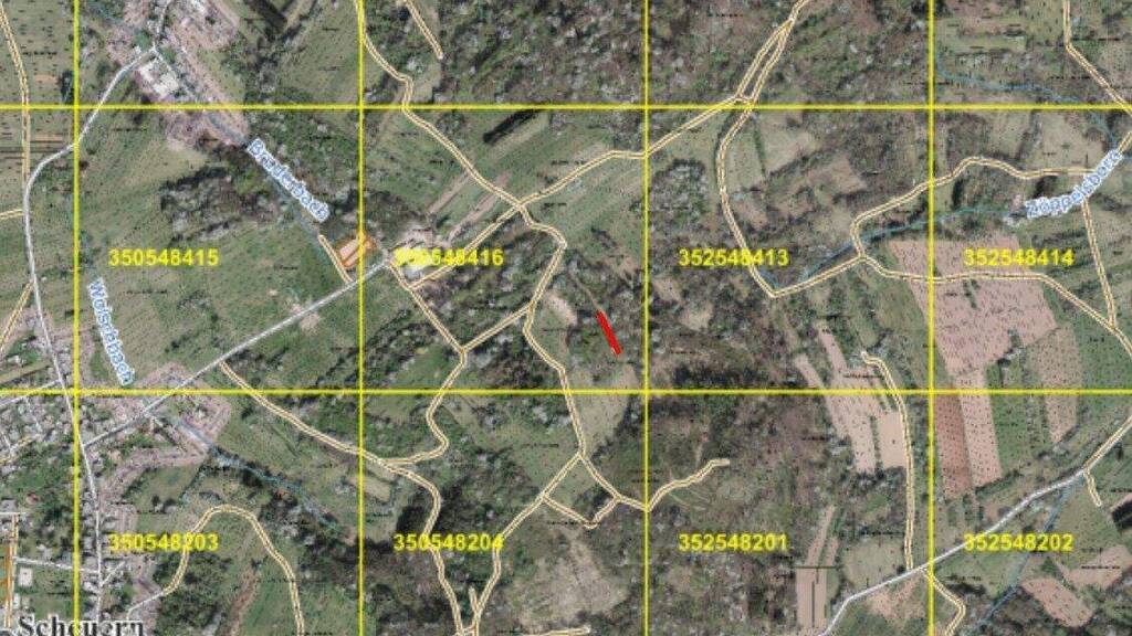 Land-/Forstwirtschaft zum Kauf 125 m² Grundstück Limbacher Straße 0 Scheuern Überroth-Niederhofen 66636