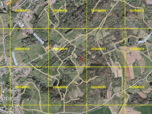 Land-/Forstwirtschaft zum Kauf 125 m² Grundstück Limbacher Straße Scheuern Tholey 66636