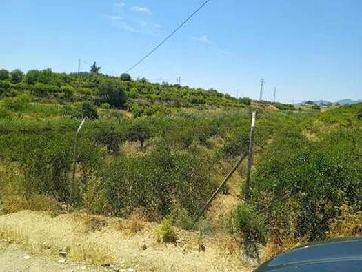 Grundstück zum Kauf 212.000 € Los Malagueños No Number Cártama 29569