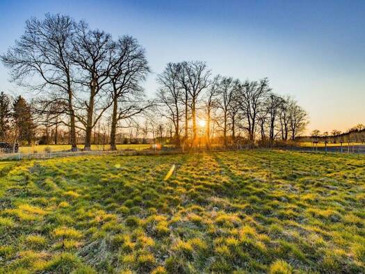 Grundstück zum Kauf 110.000 € 971 m² Grundstück Krelingen Walsrode 29664