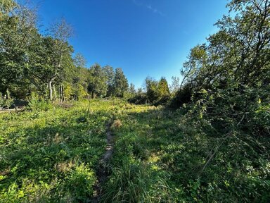 Grundstück zum Kauf 150.000 € 3.964 m² Grundstück Westl. Stadtgeb. -Schachen-Am Mühlberg Pirmasens 66953