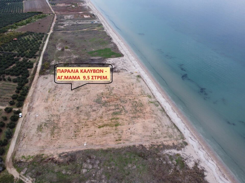 Land-/Forstwirtschaft zum Kauf 1.000.000 € 9.500 m²<br/>Grundstück Chalkidiki