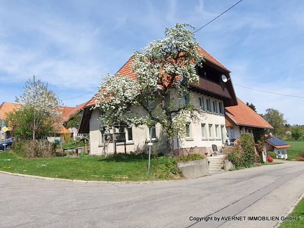 Bauernhaus zum Kauf 320.000 € 9 Zimmer 172 m² 876 m² Grundstück Strittmatt Görwihl / Strittmatt 79733