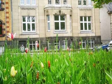 Haus zum Kauf 920.000 € 799 m² 914 m² Grundstück frei ab sofort Mayen Mayen 56727