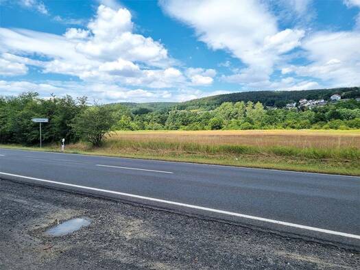 Grundstück zur Versteigerung 3.000 € 9.946 m² Grundstück Wölferbütt Vacha 36404