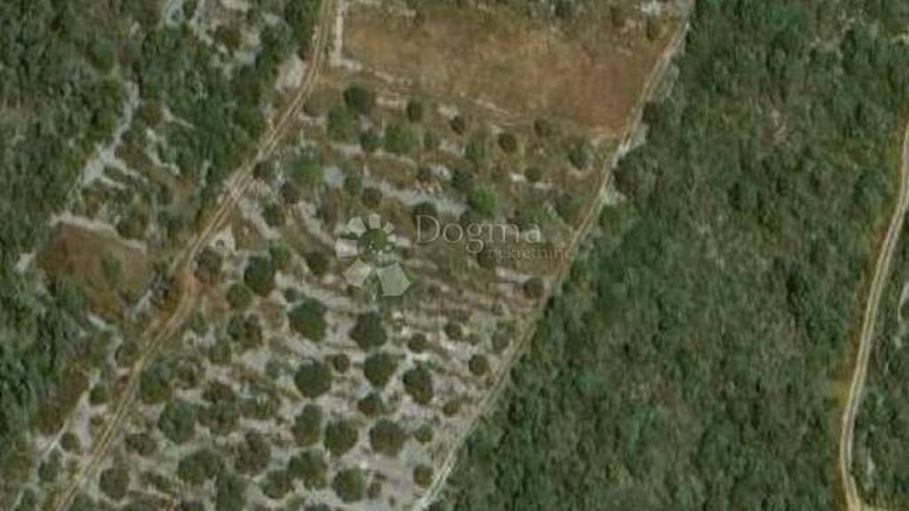 Land-/Forstwirtschaft zum Kauf 340.700 € Marina