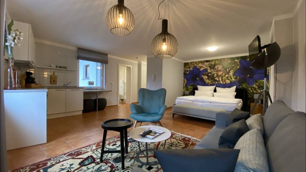 Studio zur Miete 520 € 1 Zimmer 40 m² Breunsberg Johannesberg / Breunsberg 63867