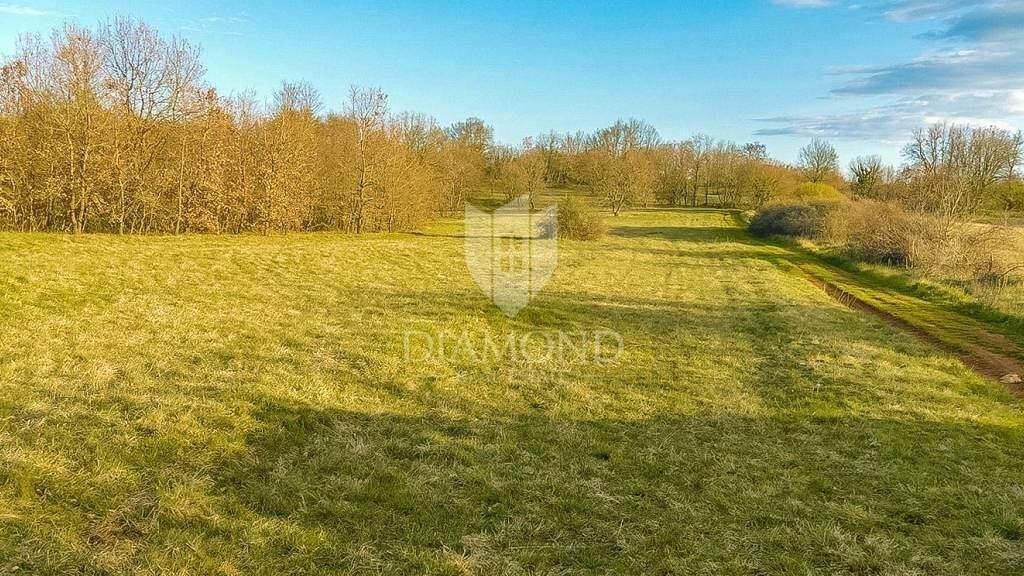 Land-/Forstwirtschaft zum Kauf 130.000 € Svetvincenat Svetvincenat