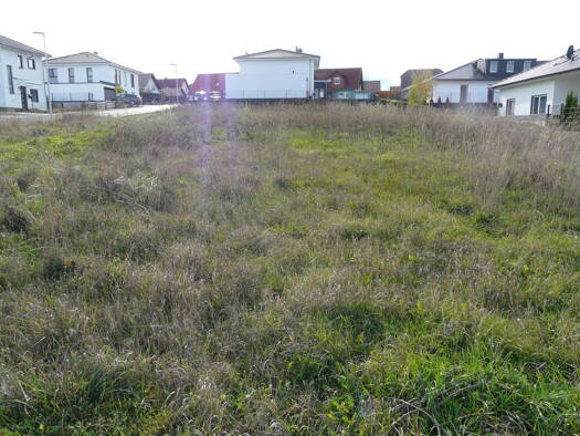 Grundstück zum Kauf provisionsfrei 253.770 € 1.538 m² Grundstück Treysa Schwalmstadt-Treysa 34613