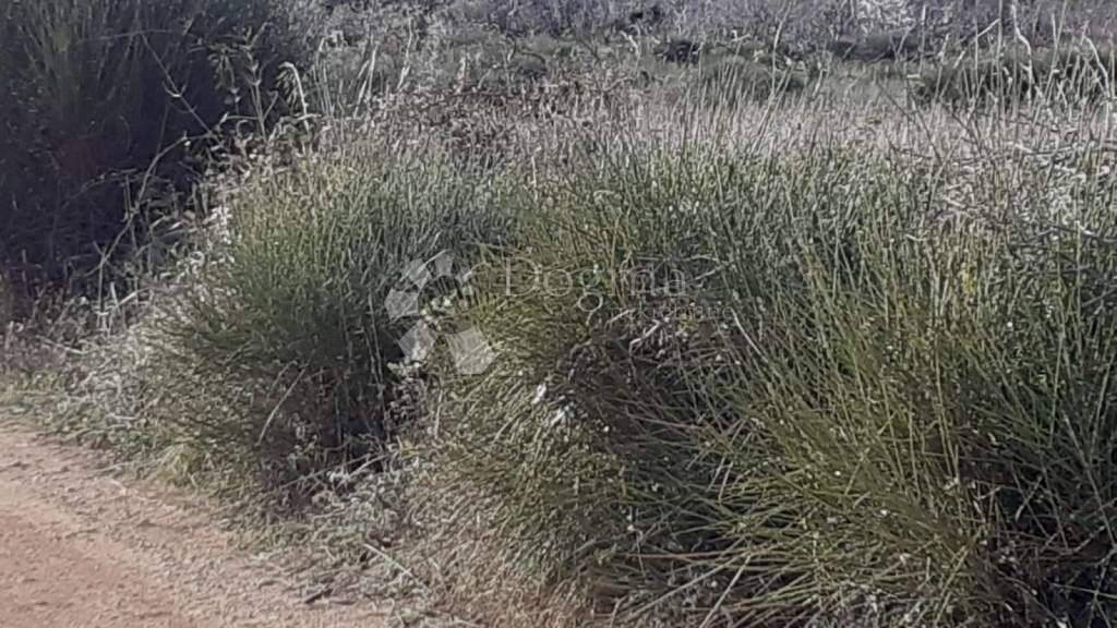 Land-/Forstwirtschaft zum Kauf 22.000 € Liznjan