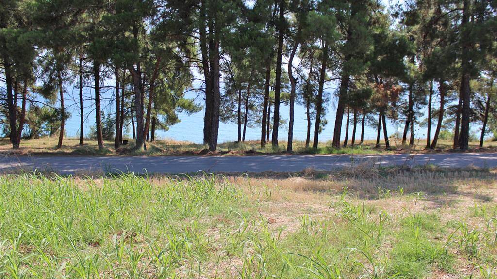 Land-/Forstwirtschaft zum Kauf 100.000 € 3.850 m² Grundstück Olympische Riviera