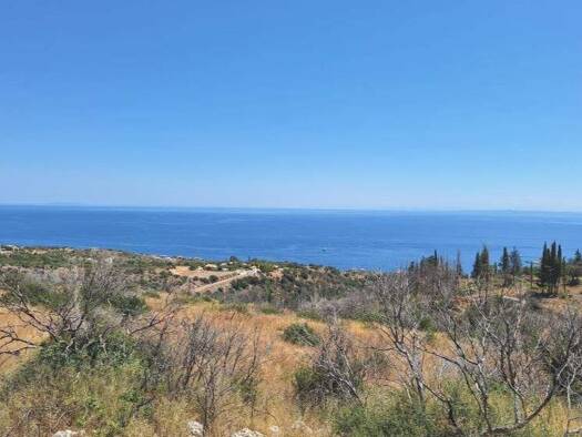 Grundstück zum Kauf 1.950.000 € 56.000 m² Grundstück ???????? 29091