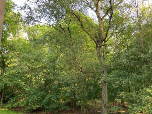 Wohnung zur Miete 389 € 2 Zimmer 47,7 m² EG Marderweg 18 Resser-Mark Gelsenkirchen 45892