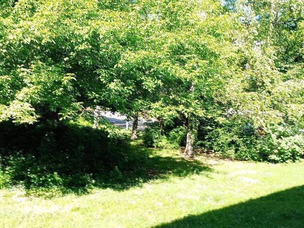 Wohnung zum Kauf provisionsfrei 420.000 € 3 Zimmer 86 m² EG Reinickendorf Berlin 13407