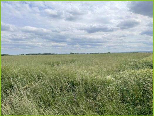 Land-/Forstwirtschaft zum Kauf 300.000 € 21.363 m² Grundstück Osterflierich Hamm / Osterflierich 59069